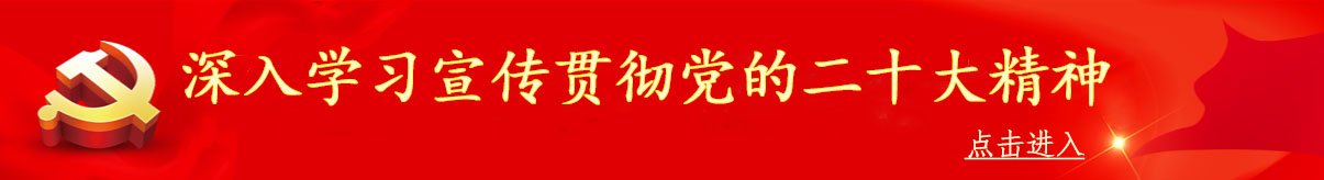 安徽省桐城市经开区学苑路199号 邮